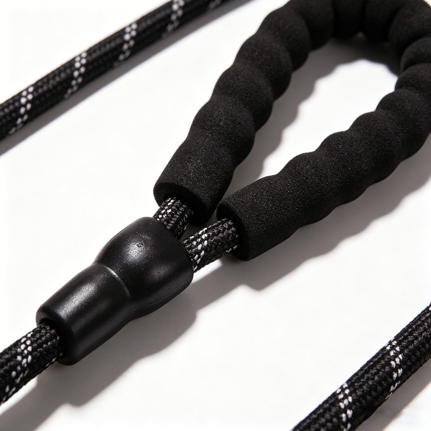 Pet leash