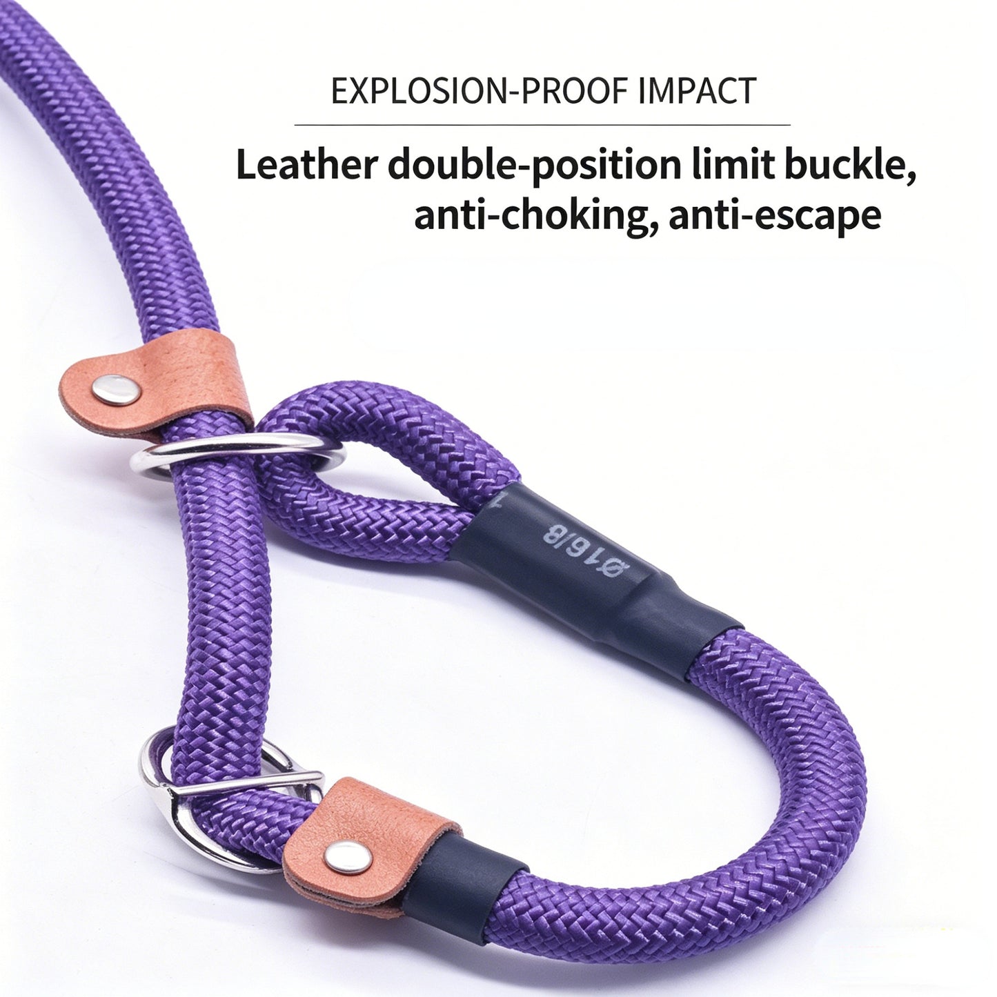 Heavy-Duty Slip Lead Dog Leash for Training Large & Strong Dogs
