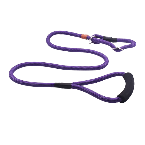 Heavy-Duty Slip Lead Dog Leash for Training Large & Strong Dogs