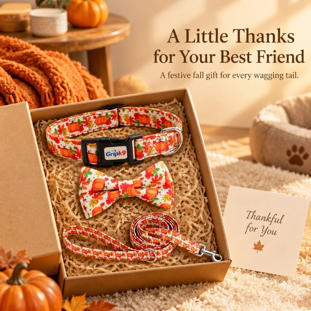 Fall Thanksgiving Dog Collar with Bow Tie and Leash Set, Pumpkin Maple Leaf Print Adjustable Soft Pet Collar with Quick Release Buckle, Festive Autumn Holiday Walking Set for Medium Large Dogs